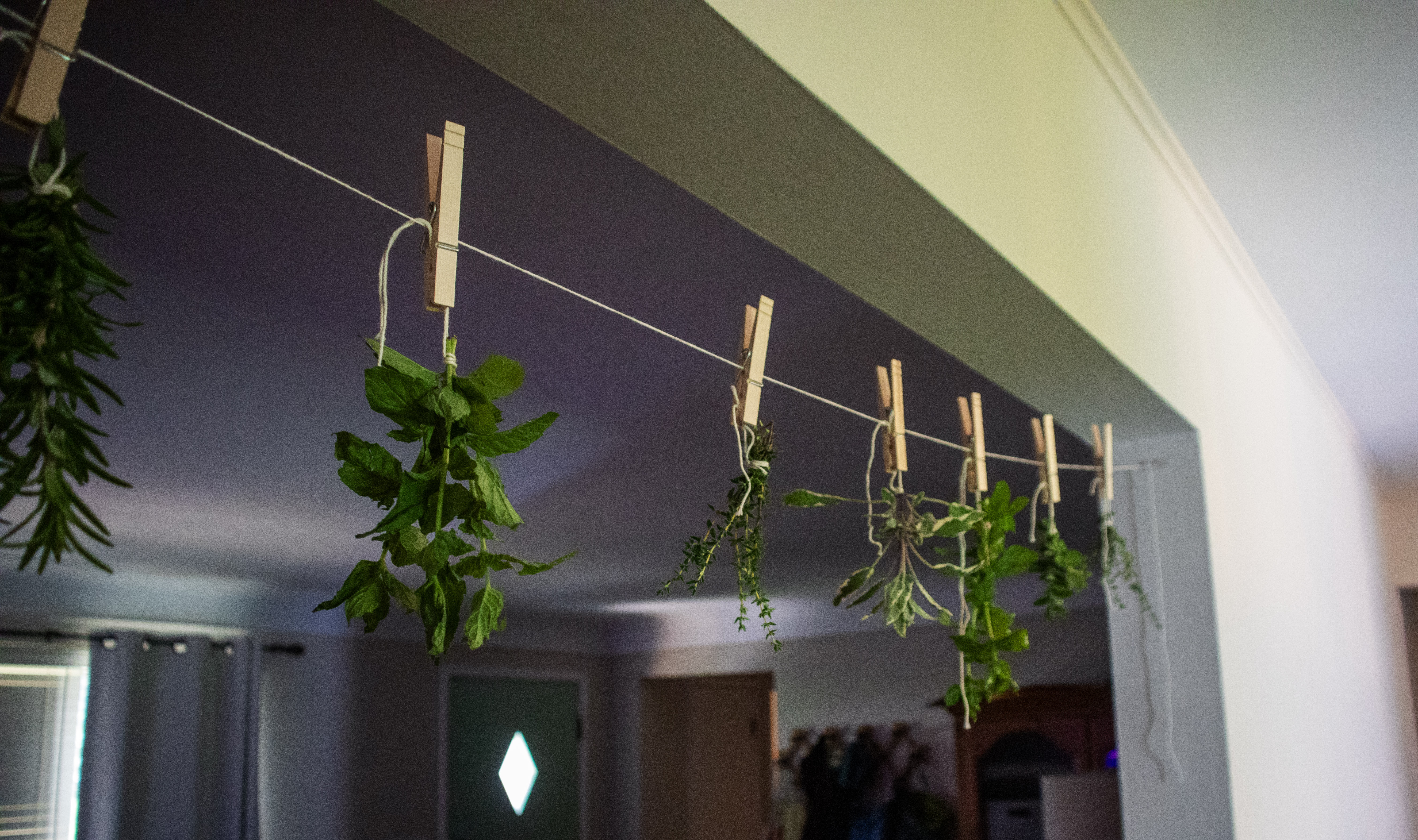 Drying Herbs at Home: My New Favorite Little Homesteading Ritual